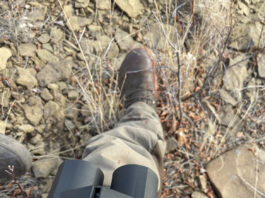 Revic BLR10b Rangefinding Binocular Review