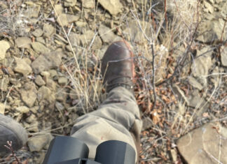 Revic BLR10b Rangefinding Binocular Review