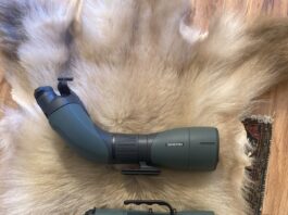 Swarovski STC Big Eyes vs BTX Review