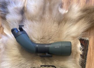 Swarovski STC Big Eyes vs BTX Review