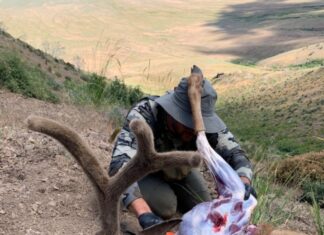 TT#34 Early Season Meat Care with Larry Bartlett Tipsy Tuesday early season meat care