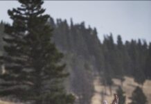 TT#39 John Barklow: Going Beyond the Gear and Honing Our Skillsets John Barklow honing your skillset