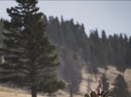 TT#39 John Barklow: Going Beyond the Gear and Honing Our Skillsets John Barklow honing your skillset