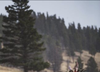 TT#39 John Barklow: Going Beyond the Gear and Honing Our Skillsets John Barklow honing your skillset