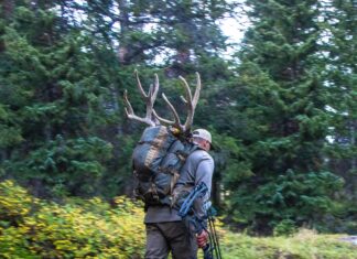 Marlon Holden: High Level Mule Deer Stalking