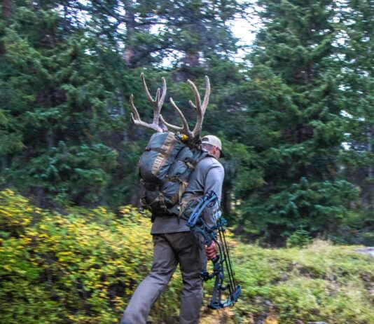 Marlon Holden: High Level Mule Deer Stalking