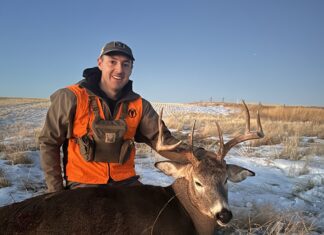 T&K Gen 3.1 Bino Harness Review