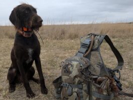 KUIU Upland Field Vest Review