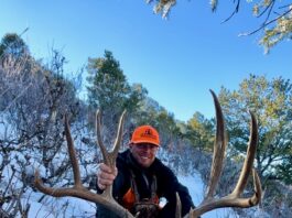 Rifles for Hunting Big Mule Deer