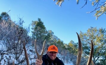 Rifles for Hunting Big Mule Deer
