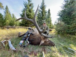 Iron Will Wide Single Bevel Broadhead Review