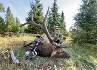 Iron Will Wide Single Bevel Broadhead Review