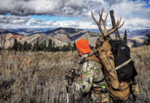 Triple Big Buck Year with James Yates
