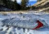 Argali Alpine Sleeping Bags Review