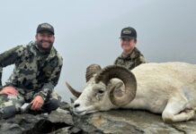 TT#47 Draw Strategies with Robert Hanneman Robert Hanneman Draw Strategies