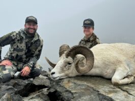 TT#47 Draw Strategies with Robert Hanneman Robert Hanneman Draw Strategies