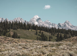 Conservation Easements for Big Bucks Conservation Easements