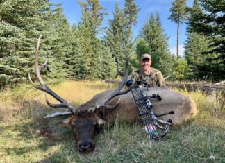 Best Gear of 2024 Rokslide Edition