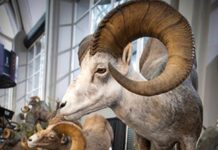 TT#49 Gear Straight from the Expo Tipsy Tuesday Expo