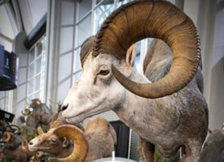 TT#49 Gear Straight from the Expo Tipsy Tuesday Expo