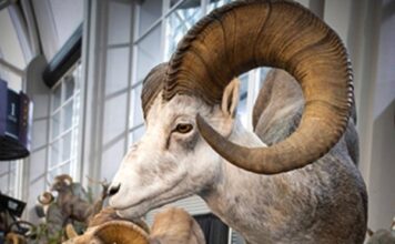 TT#49 Gear Straight from the Expo Tipsy Tuesday Expo