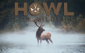 TT#50 HOWL for Wildlife on the Offensive Tipsy Tuesday #50 Howl for Wildlife on the offensive