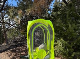 Walking Pod Review