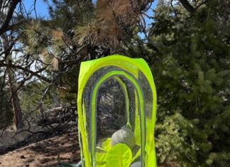 Walking Pod Review