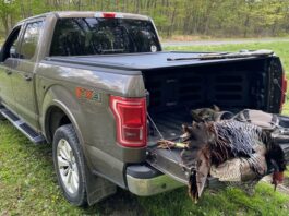 Paragon vs EGR Truck Bed Cover Review