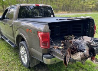 Paragon vs EGR Truck Bed Cover Review