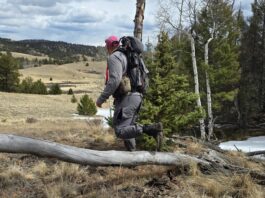 FORLOH BTM Pro Pant Review