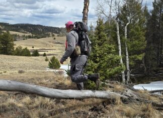 FORLOH BTM Pro Pant Review