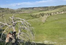 Shoot2Hunt A Female Perspective