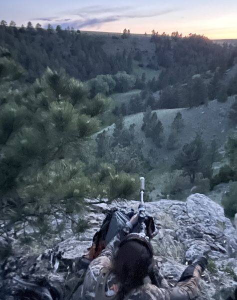Field Long Range at Dusk