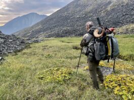 Sitka Ascent Pants Review