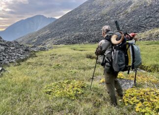 Sitka Ascent Pants Review