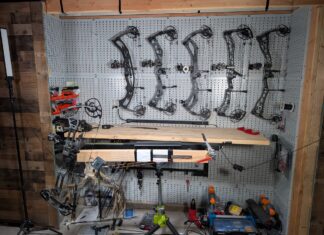 2025 Head-to-Head Bow Test