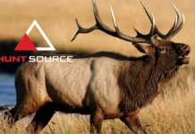 Tcams, Point Creep, Scouting, & The Hunt Source Podcast