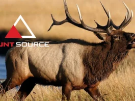 Tcams, Point Creep, Scouting, & The Hunt Source Podcast