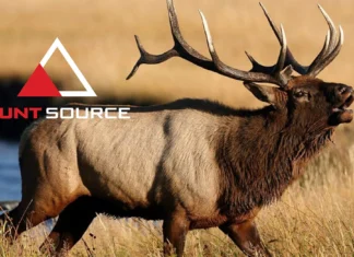 Tcams, Point Creep, Scouting, & The Hunt Source Podcast