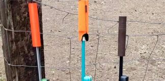 Goodbye 270 WSM, Hello 6UM