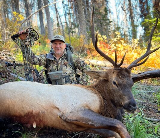 TT#64 Josh Boyd Elk Hunting Strategies for Every Season TT#64 josh boyd