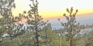 First Lite Approach Hoody Review