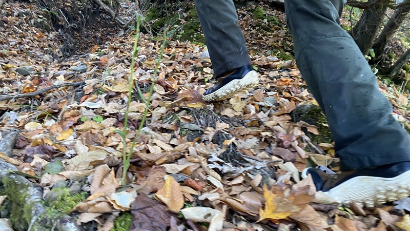 The Tracker Leather ATs are lightweight and flexible, offering a sneaker-like feel. But they didn’t leave my ankles feeling unsupported or fatigued. The Tracker Leather ATs are lightweight and flexible, offering a sneaker-like feel. But they didn’t leave my ankles feeling unsupported or fatigued.