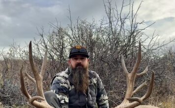 Big Buck Down & Coming Out Light Travis Hobbs BBD!