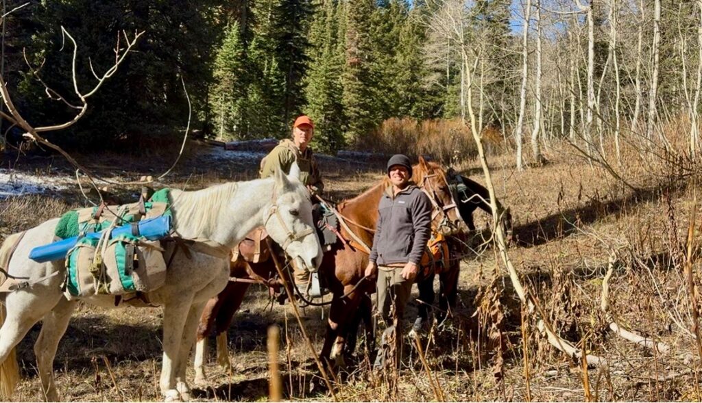 Horse's packing camp Hunting Big Mule Deer