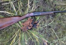 Weatherby Orion SxS Shotgun Review