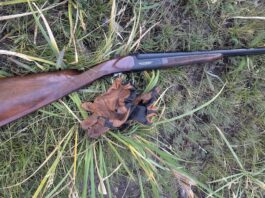 Weatherby Orion SxS Shotgun Review