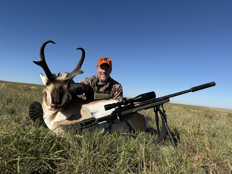 Pronghorn Buck Pronghorn Buck