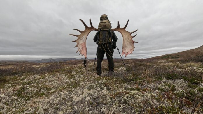 Profile PicAntler Walk